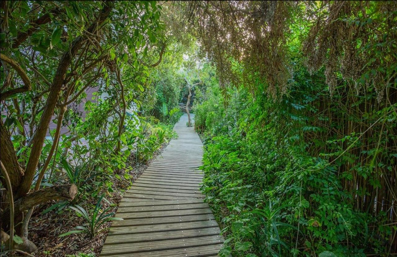 Moquini House Wilderness Ξενοδοχείο Εξωτερικό φωτογραφία